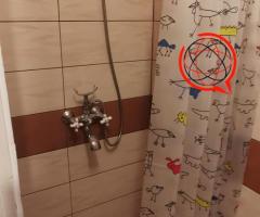 Domek letni na działce ROD