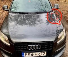 Audi Q7 4.2 tdi 2008r