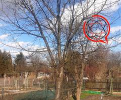 Sprzedam Działkę Rekreacyjną w Stalowej Woli
