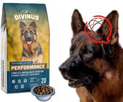 Divinus Sucha Karma dla psów średnich i dużych 20kg Wysyłka 0,00zł