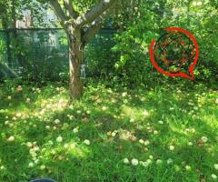 Sprzedam działkę rekreacyjną