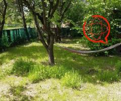 Sprzedam działkę rekreacyjną