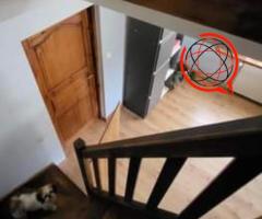 Sprzedam dwupoziomowe mieszkanie 100m2  z ogródkiem tel 739 022 387