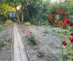 Ogródek dzialkowy