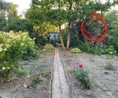 Ogródek dzialkowy