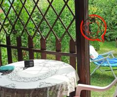 Sprzedaję ogródek działkowy w Ziemięcicach
