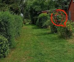 Sprzedaję ogródek działkowy w Ziemięcicach