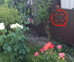 Sprzedaję ogródek działkowy w Ziemięcicach