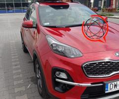 Kia Sportage IV, 1.6 GDI, Polskie Salon L + Business Line