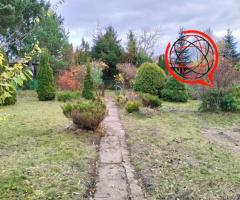 Sprzedam działkę ROD