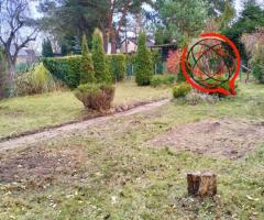 Sprzedam działkę ROD