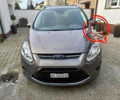 Ford grand c max