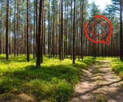 Działka rolno-budowlana z lasem