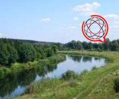 Działka z lasem