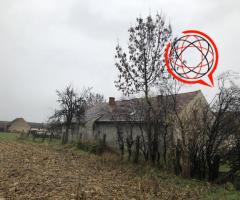 Dom na obrzżach wioski pod lasem