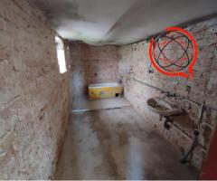 Dom na obrzżach wioski pod lasem