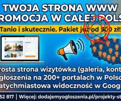 Strona internetowa od 500 PLN z mocną promocją na START/ FAKTURA