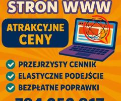 Strona internetowa od 500 PLN z mocną promocją na START/ FAKTURA
