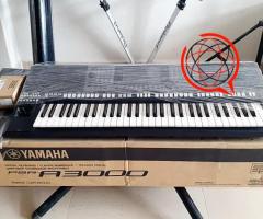 Yamaha Genos 76-Key, Yamaha PSR-SX900, Korg Pa4X 76 key, Korg PA-1000, Roland FANTOM-8