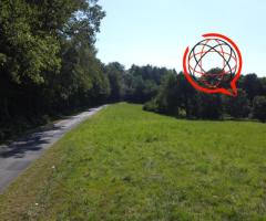 Działki przy lesie gm.Dębno