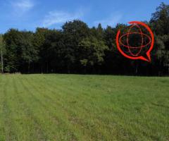 Działki przy lesie gm.Dębno