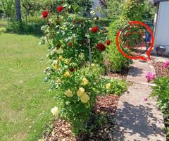 Sprzedam działkę na Bielanach